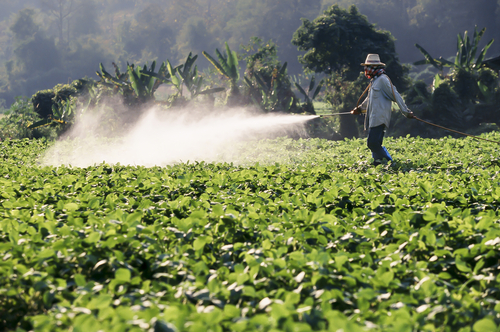 Farmer,Spraying,Pesticide,On,Soy,Field